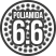 POLIAMIDA 6.6