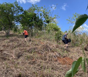 Equipe da CURTLO levando mudas para o plantio