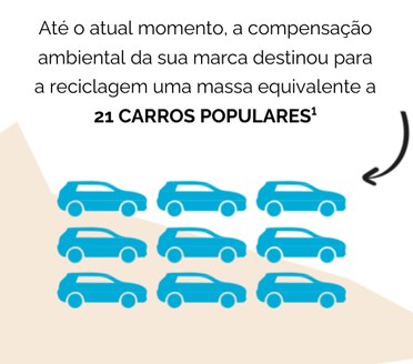 Infográfico do relatório: massa reciclada equivalente a 21 carros populares